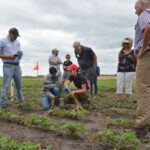 Agronomy graduate student Carolina Freitas and student intern Thiago Roque provide information on a soybean project.