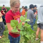 December McGrew with a mung bean plant at the AEA Farm