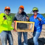 Allison Smith and two other interns collect corn rootworm beetles.