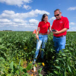 Graduate student Carolina Freitas, left, and agronomy professor Sotirios Archontoulis use a probe to measure subsurface moisture in one of their experimental plots of soybeans at the Ag Engineering and Agronomy Research Farm near Boone.